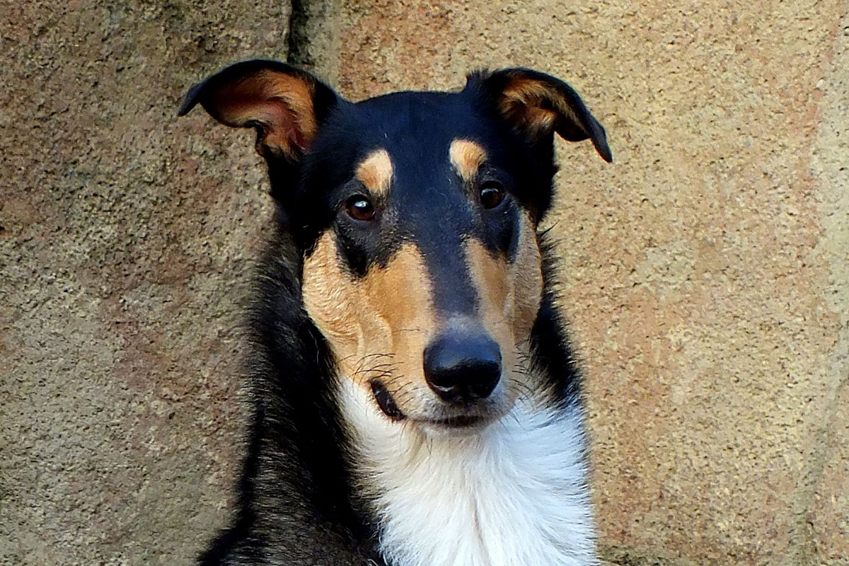 Foto: Kalle